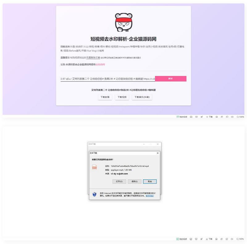 网页版短视频去水印源码