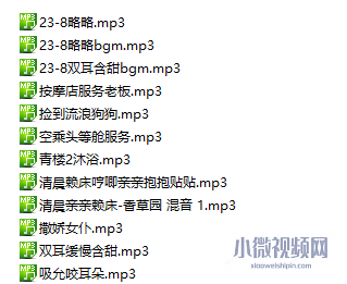 桥桥超温柔心理老师特殊引导治疗13部音频 图1