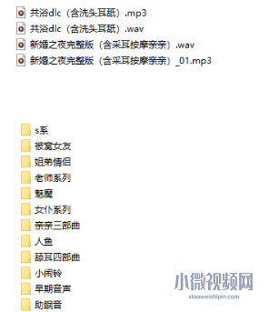 B站烛灵儿四周年舰长礼物音声40A/17.5G